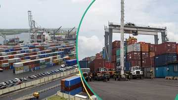 France, Spain, Netherlands among top customers as Nigeria exports over N19trn goods in 3 months