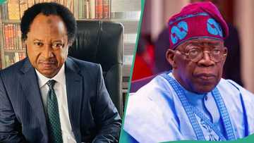 Former Senator appeals for compassionate approach to fake degree holders from Benin Republic