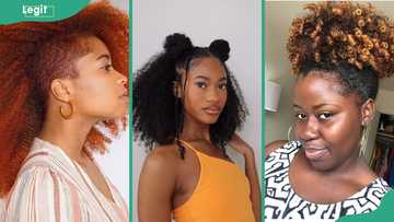 50 Latest female hairstyles for curly natural hair in 2025