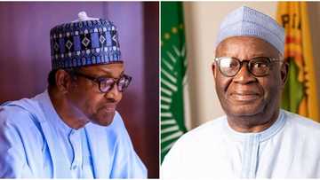 Sarkin Ilorin ya yi godiya ga Buhari kan nada Gambari a matsayin wanda zai gaji Abba Kyari