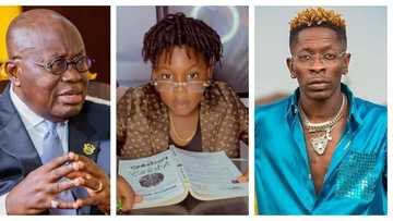 Majesty: Shatta Wale’s son boldly orders President Akufo-Addo to solve gas pricing issue, gives reason in clip