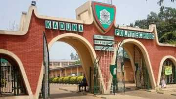 BREAKING: Polytechnic lecturers suspend strike, give reason