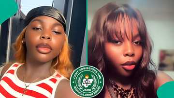 JAMB: arts student goes viral after scoring 94 in English, shares full 2026 UTME result