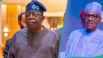 2027 election: Primate Ayodele releases fresh prophecy on Tinubu’s 2nd term, mentions Buhari