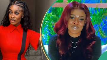 BBNaija: "I will not go" - Drama as Uriel dares Biggie, set to reject eviction, video trends, many react