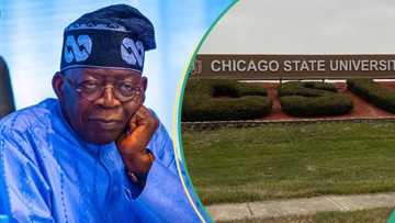 Chicago University Saga: Tinubu's lawyer explains gender error in president's certificate