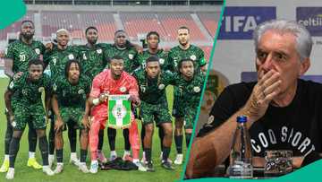 2026 WCQ: Hugo Broos explains what scared him before Super Eagles 4-0 win over Benin