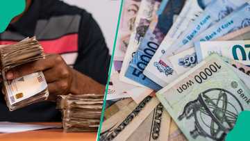 Top 10 strongest currencies in the world by dollar value in February 2026