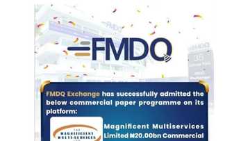 Magnificent Multiservices Limited Registers N20bn Commercial Paper to Facilitate the Development of Smart Cities