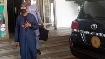 Abdulazeez Ganduje reportedly flees to Egypt after reporting mother to EFCC