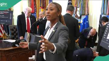 Chaos as man collapses beside US President Trump in White House during press conference