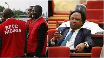 New development emerges as Shehu Sani faults audiotapes presented against him, dares EFCC to publish them