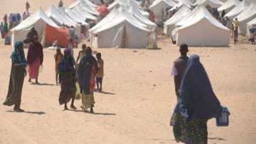 Borno: 'Yan gudun hijira sun bar sansanoninsu kafin cikar wa'adin da gwamnati ta bada