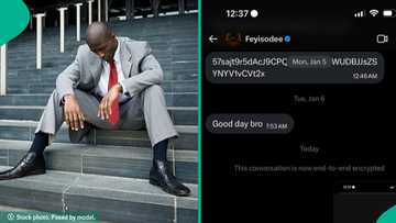 Man mistakenly sends $500 to someone's account, chats him up, screenshot goes viral