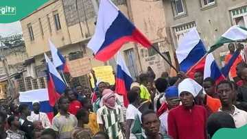 Hunger protest: Top lawyer speaks on how protesters waving Russian flag can be prosecuted