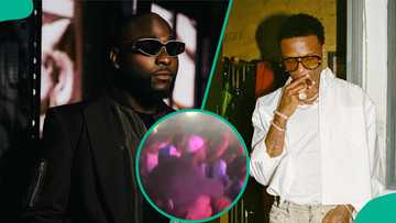 Crowd reaction to moment Wizkid's song was played at Davido's Adamawa concert goes viral