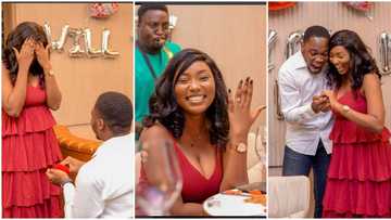 "I was busy getting engaged": Pretty Nigerian damsel says yes to her man, flashes cute ring in sweet photos
