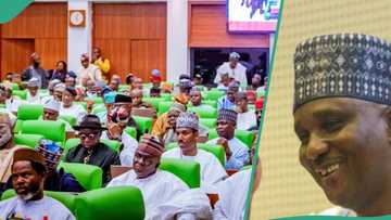 Amid failure to meet ASUU demands, lawmaker push for 32 new federal varsities