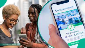 Federal government approves over 100 new loan apps
