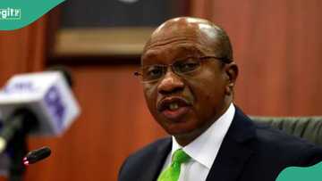 Did Buhari approve Emefiele’s naira redesign in 2022? CBN ex-deputy governor clears air