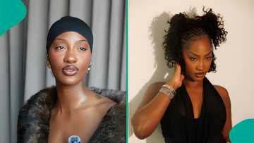 Tems’ latest physical appearance gets people talking after interview video goes viral