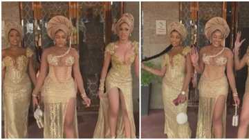 "They're not stunning but naked": Video of asoebi ladies in stylish looks sparks reactions