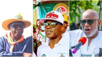 LIVE UPDATES: Vote counting begins in Ondo governorship election