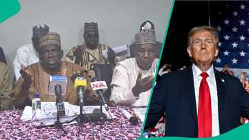 Barazanar Trump: Miyetti Allah ta roki Amurka alfarma kan zargin ta'addanci