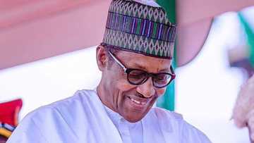 2023: Buhari bai yi alkawarin mika wa Tinubu mulki ba - Shugaban NIWA