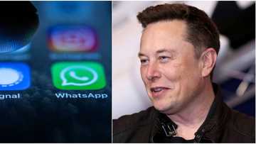 Elon Musk announces new features on Twitter, including voice and video calls, WhatsApp speaks