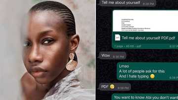 "I don't like typing": Nigerian lady makes PDF file for talking stage with men, WhatsApp chat leaks