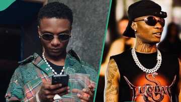 Wizkid caught repeating belt on his outfits, gets mixed reactions: "The belt go change your family"