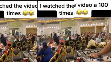 "That lady with the green dress": Funny DJ plays lion sound at party, people react hilariously