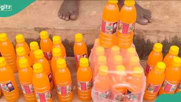 Police dismantle fake soft drinks factory in Anambra