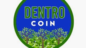 Why You Should BUY and HOLD Dentrocoin - Available NOW on CoinTiger