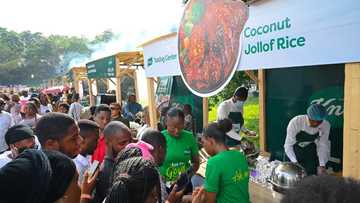 Spicing Up the Capital: Knorr Jollof Fest Thrills Abuja
