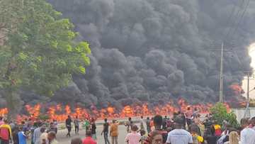 Panic on Oshodi-Apapa expressway as fire guts petrol tanker in Lagos