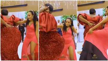 Wedding guests lose focus as plus-size lady with soft body whines waist like rubber, video causes stir