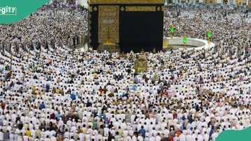 Hajj 2024: Saudi Arabia stops pilgrims from throwing stones to devil for 5 hours, gives reason