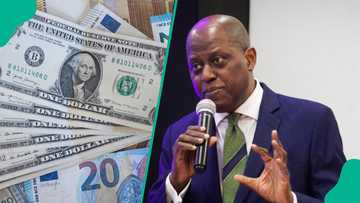 Nigeria attracts $20.98bn foreign capital in 10 months