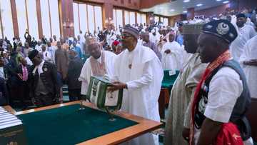 Kasafin kudin 2019: Kakakin majalisa ya yabama Buhari kan ware wa arewa maso gabas N45b