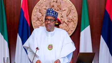 We need a young president: Reactions as Nigerians reveal the country's need ahead of 2023 election