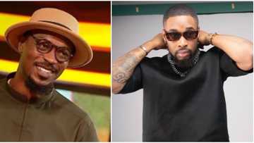 "You're not an intellectual": Adekunle slams Sheggz after being called stupid, housemates fight dirty in video