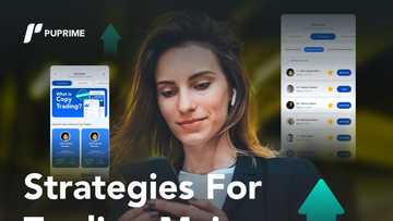 Strategies That You Can Use to Start Trading Major Forex Pairs