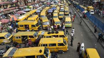 Nigerian man advises people on how to survive in Lagos, many agree with him