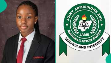 2025 UTME top scorer of Ogun school scores 361 as 9 other students score above 337, results trend