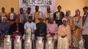 Local Dairy Farmers Excited, as Arla Foods Distributes Milk Cans to Improve Nigerian Milk Quality