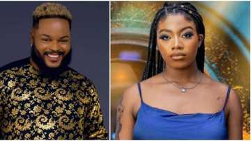 You taught yourself everything you do but you need love: Whitemoney advises Angel, Nigerians react