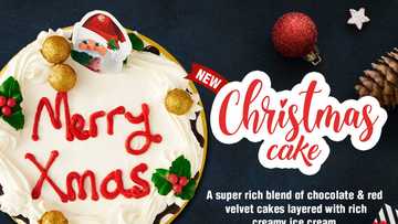 Enjoy the Coldstone’s Tasty Xmas Cake this Festive Season!