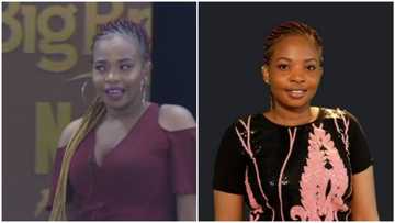 BBNaija fans react as yet another housemate is introduced into the house